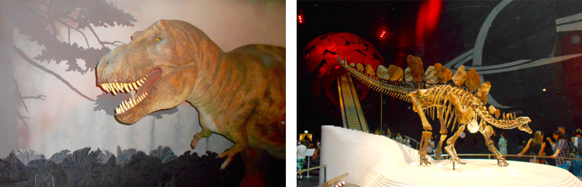 dinosauronaturalhistorimuseum